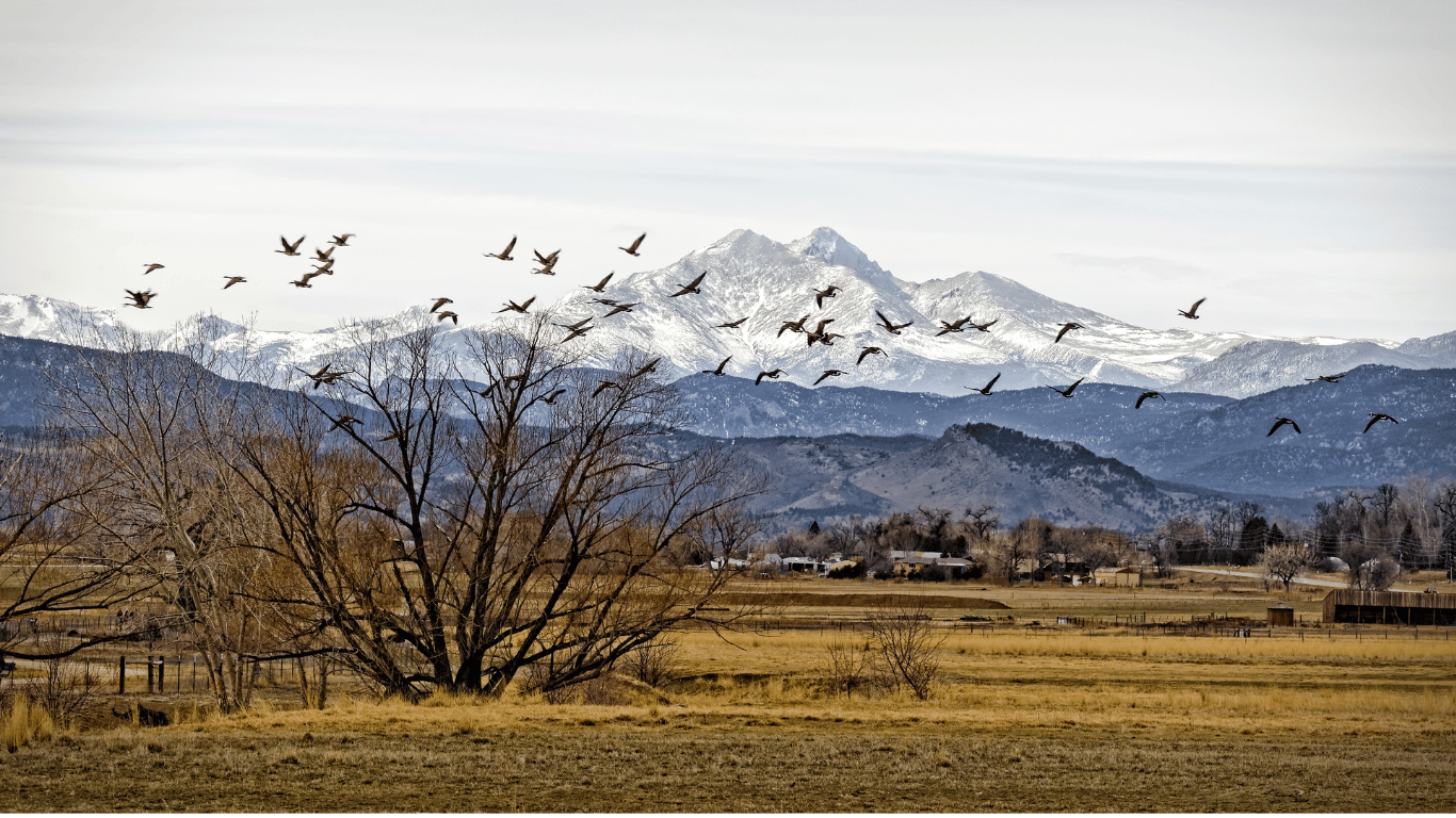 An image of a Longmont, CO.