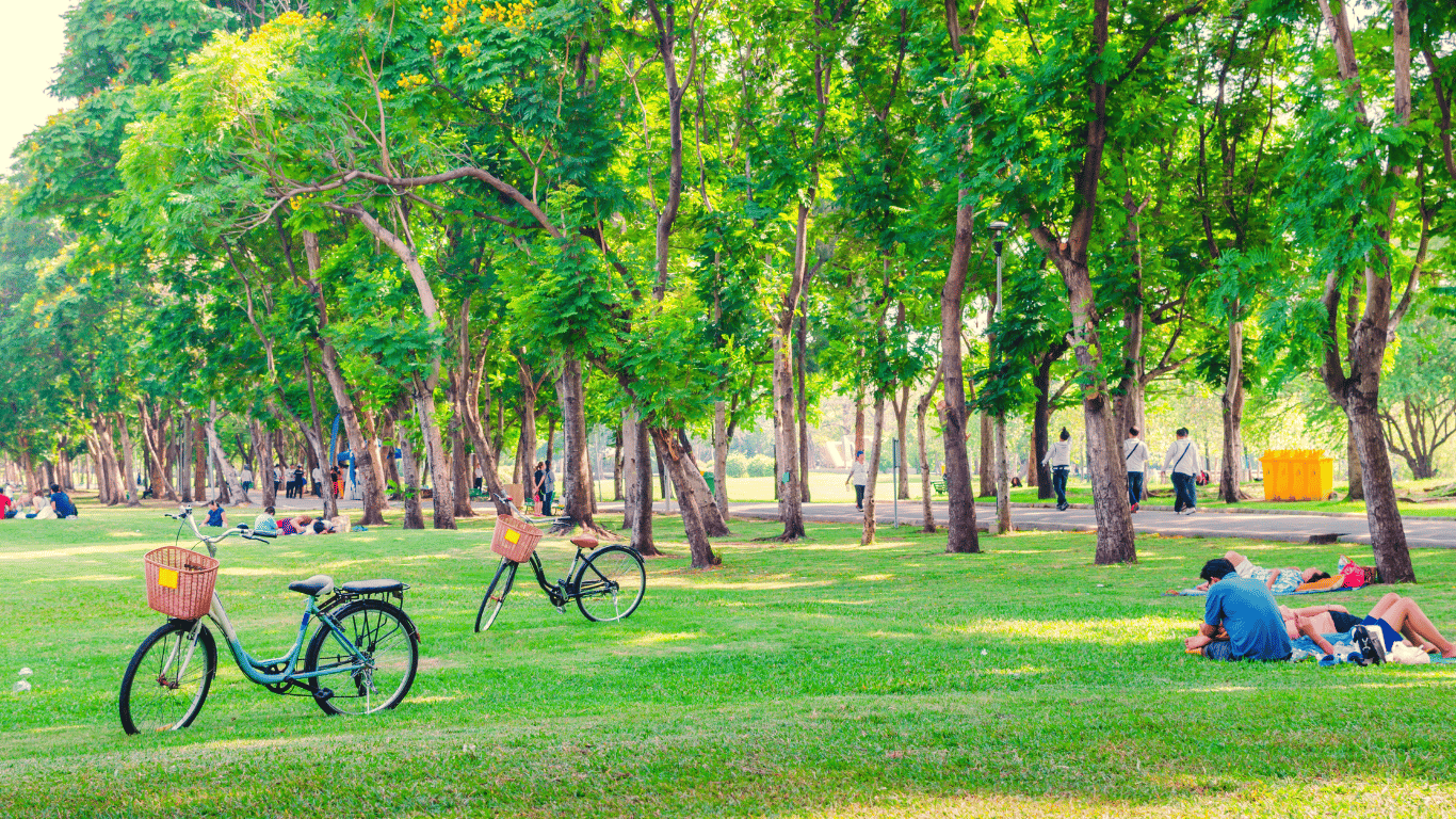 An image of a park.