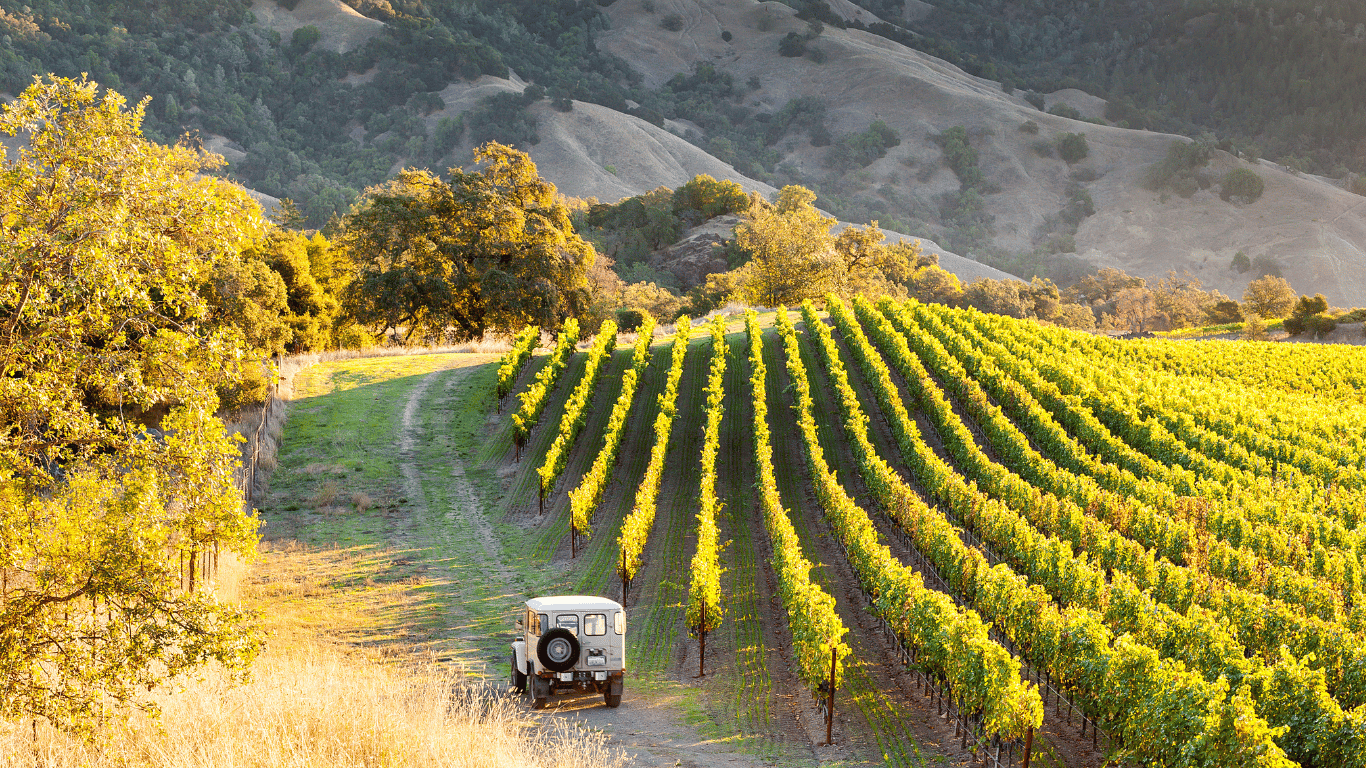 An image of a Sonoma County, CA.